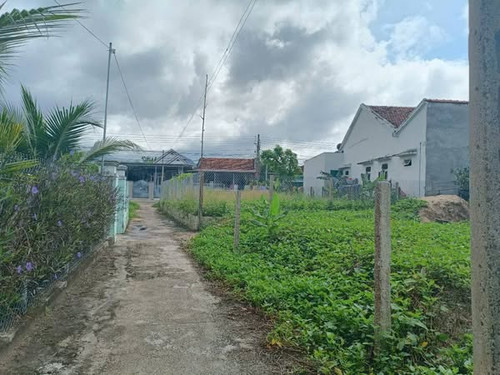 495572822 29443959678583626 8637661762636759257 n.jpg