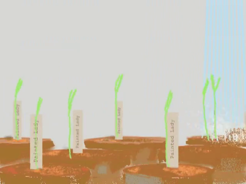 vlcsnap 2025 05 07 14h36m13s052.png