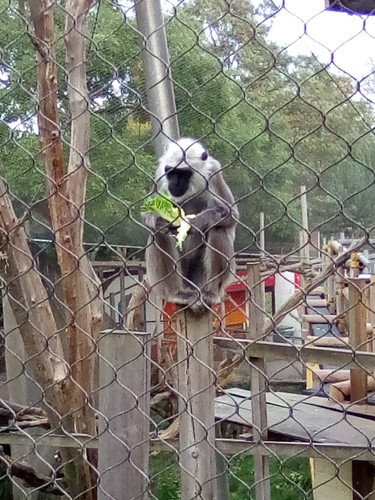 IMG 20191015 160615.jpg