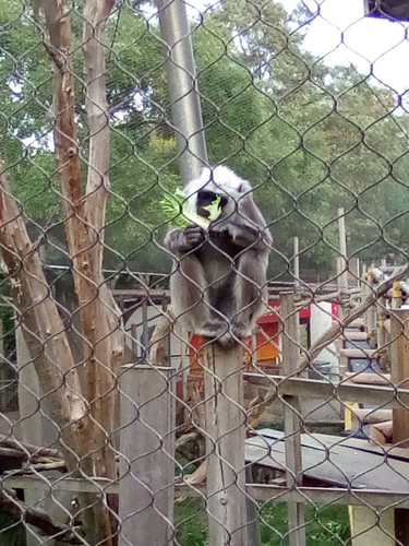 IMG 20191015 160618.jpg