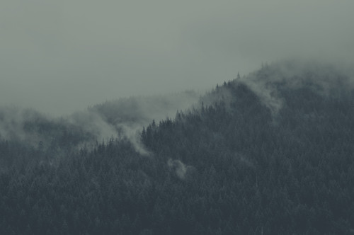 wallpaper.jpg