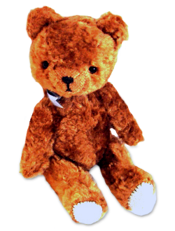 teddybear.png