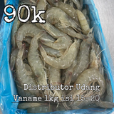 distributor udang vaname segar