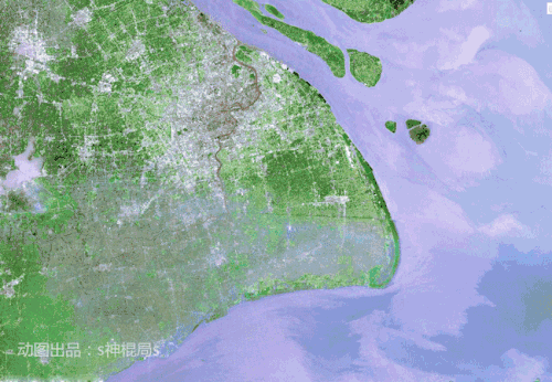 fb1d87fcae8048ec98b18acbaef9bb35 th.gif