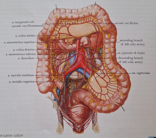 f3da5114b334.jpg