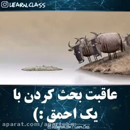 7qSI X5laXD8p8zu.jpg
