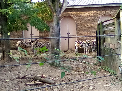 IMG 20191015 164309.jpg