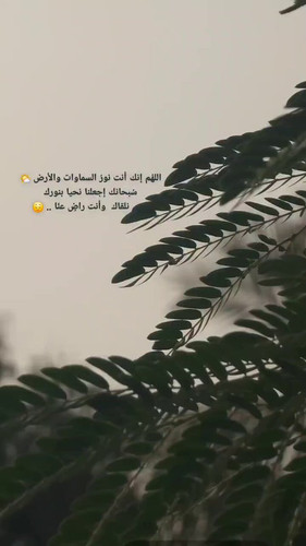 mBkeyxSU4HbBjQ8H.jpg