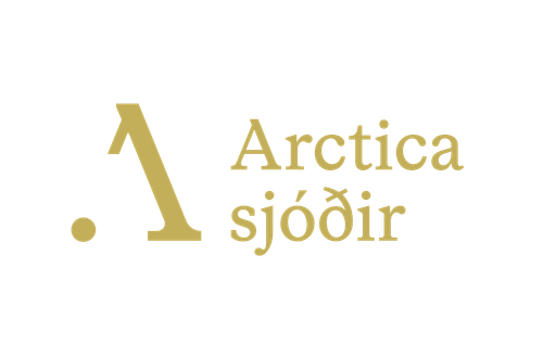 arctica merkiArtboard 1 copy 5@2x.png