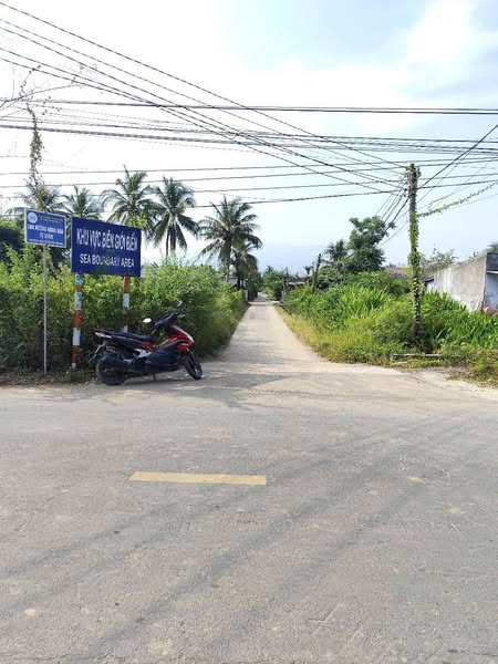 495377154 702206305738505 1699016272213597072 n.jpg