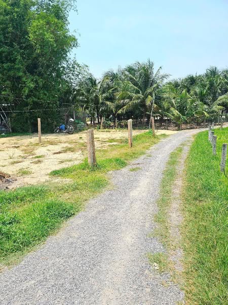 495430509 4302256413390914 6835347545123931062 n.jpg