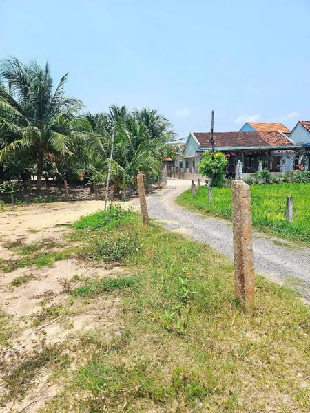 495539556 4302256420057580 4037514996277695358 n.jpg