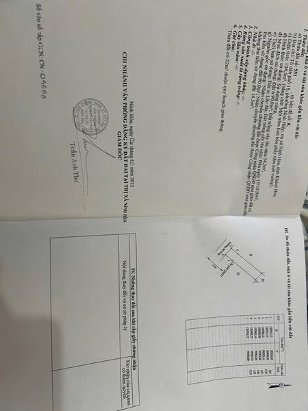 494681191 687702187340352 1621773852549334145 n.jpg