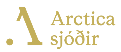 arctica merkiArtboard 1 copy 5@2x.png