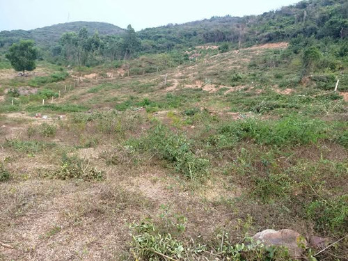 495380764 677367045005471 5517735833420755279 n.jpg