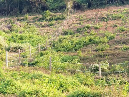 495300330 677367041672138 2359031141209594593 n.jpg