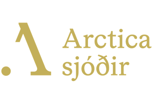 arctica merkiArtboard 1 copy 5@2x.png