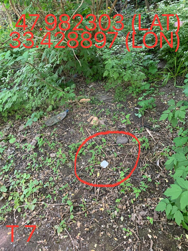 5247193448996534587.jpg