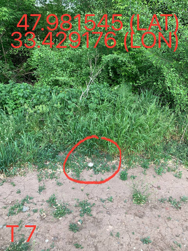 5247193448996534598.jpg