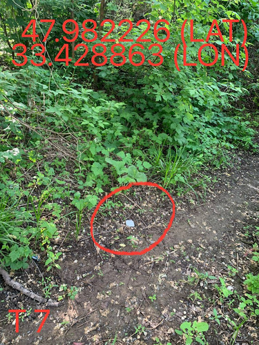 5247193448996534588.jpg