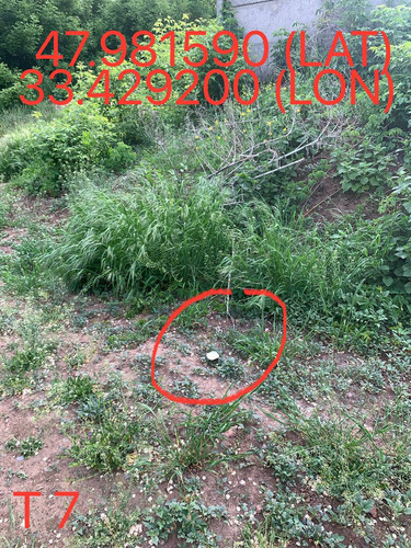5247193448996534595.jpg