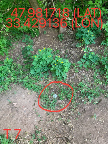 5247193448996534590.jpg