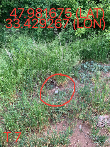 5247193448996534592.jpg