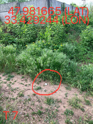 5247193448996534593.jpg