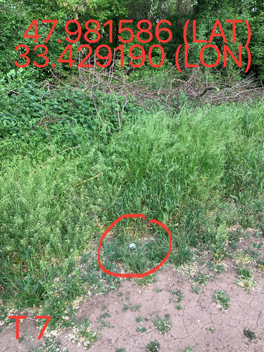 5247193448996534596.jpg