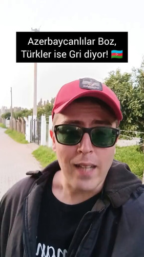 0qJyqQU1rfLKyaoi.jpg