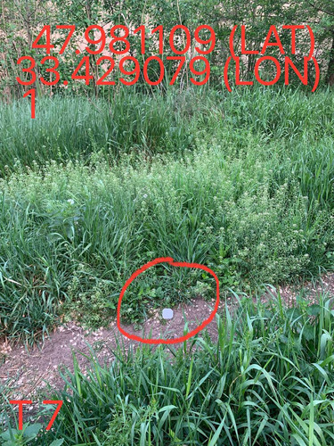 5247193448996534613.jpg