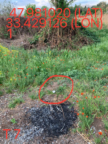 5247193448996534621.jpg