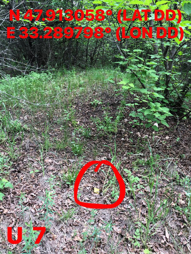 5249067454896927567.jpg