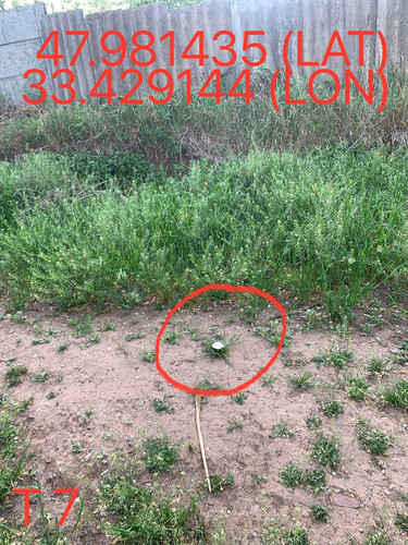 5247193448996534600.jpg