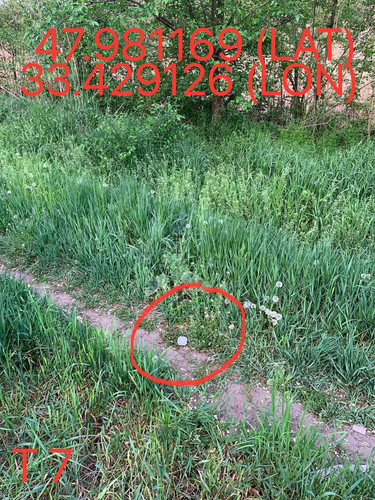 5247193448996534611.jpg