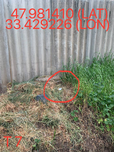5247193448996534604.jpg