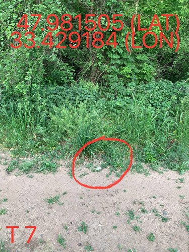 5247193448996534599.jpg