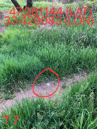 5247193448996534612.jpg