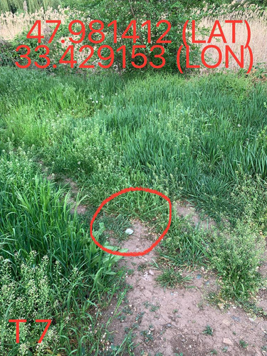 5247193448996534601.jpg