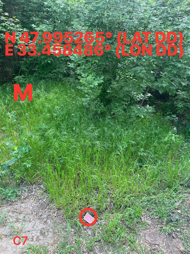 5251524859090039882.jpg