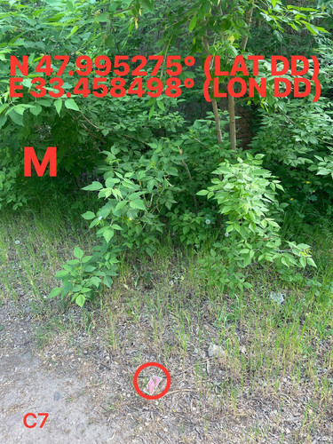 5251524859090039879.jpg