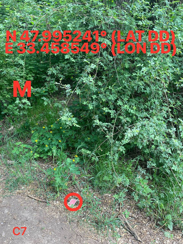 5251524859090039888.jpg
