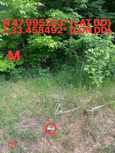5251524859090039890.jpg