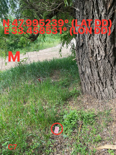 5251524859090039885.jpg