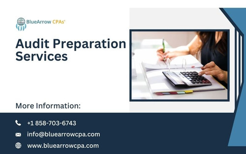 Audit Preparation Services (1).jpg