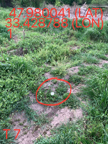 5249025574670823821.jpg