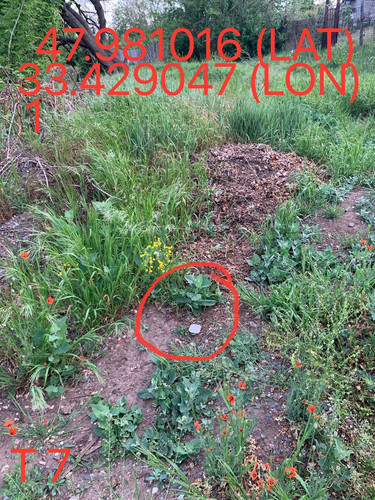 5249367445477650881.jpg