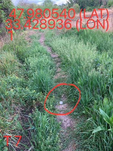 5249367445477650883.jpg