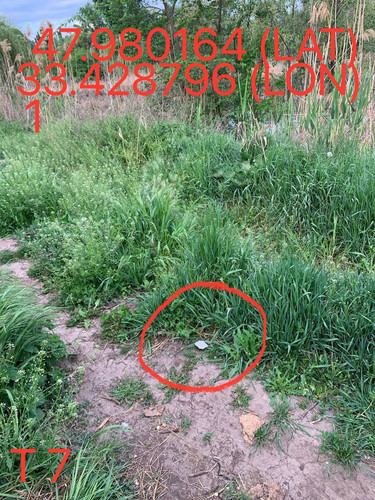 5249367445477650884.jpg