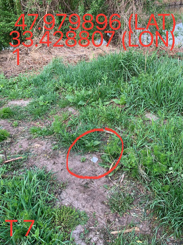 5249025574670823824.jpg